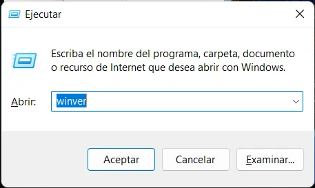 Cuadro Ejecutar de Windows con el comando winver escrito