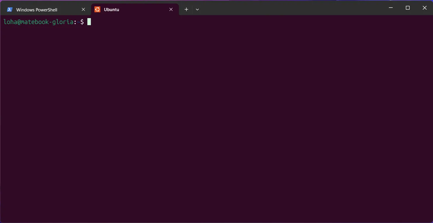 Windows Terminal con una pestaña de PowerShell y otra de Ubuntu abierta