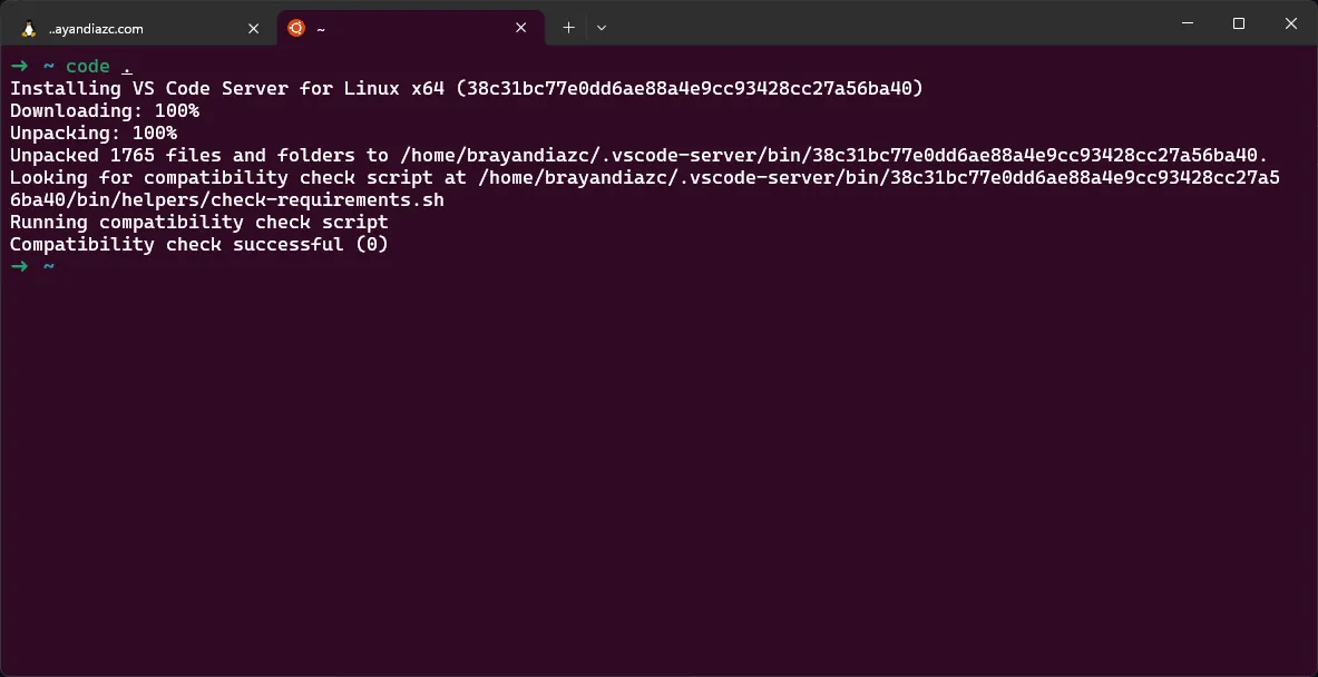 VS Code conectado a WSL